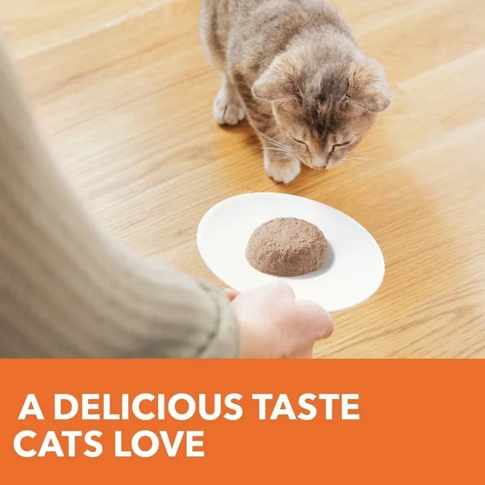 IAMS Healthy Kitten Wet Cat Food Pate, Chicken Recipe, 2.6 oz Easy 24 - 07/2027